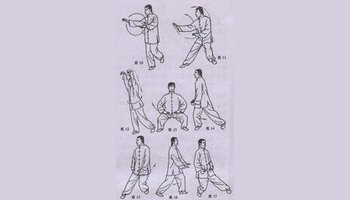 八式太极拳动作舒展大方