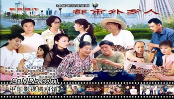 都市外乡人电视剧
