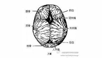 前囟最大,位于矢状缝前端,呈菱形,生后1-1.5岁闭合.