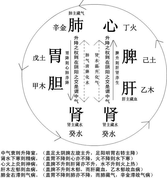 奇恒之府 脑 女子胞 脏腑学说是通过观察人体外在现象,征象,来研究