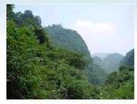 成都白鹿森林公园
