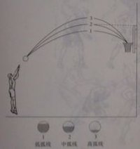抛物线是指投篮出手后,球在空中飞行的弧形轨迹.