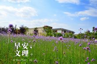 类课题89项,获批国家级和省级质量工程项目55