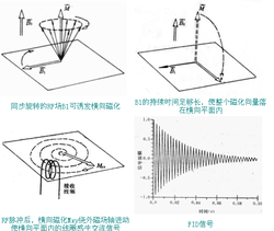 核磁共振原理