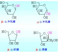 1. 单糖的链状结构