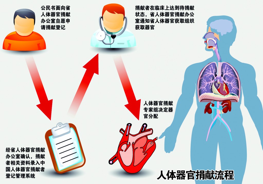 器官捐献