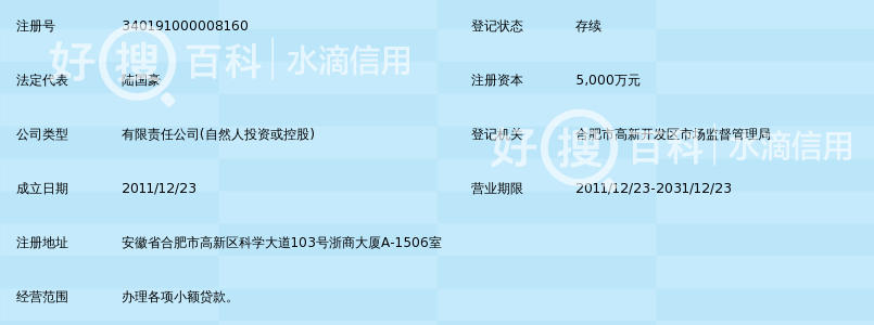 合肥高新区灏洋小额贷款有限公司_好搜百科