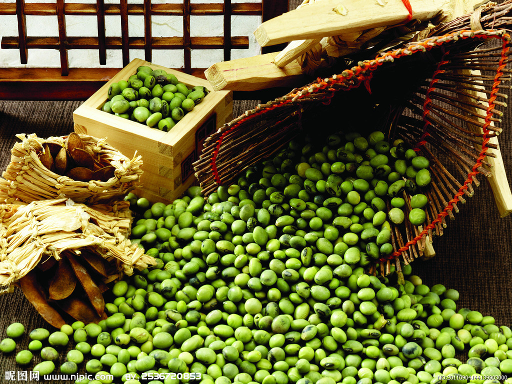 绿豆 去热解暑“一招鲜”_北京旅游网