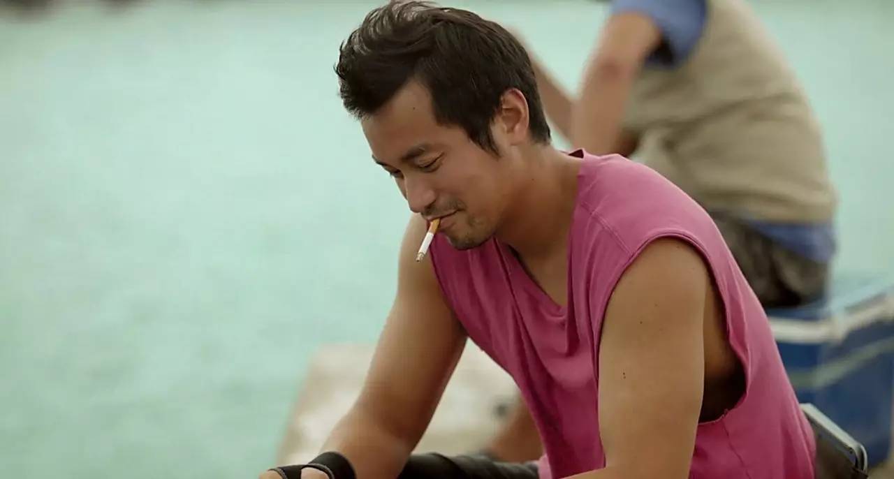 演员、导演、编剧、歌手、作家、主持人、影展