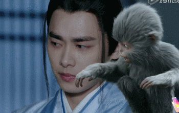 胖师父,张小凡,小灰猴,《青云志》这仨萌物的日常我能