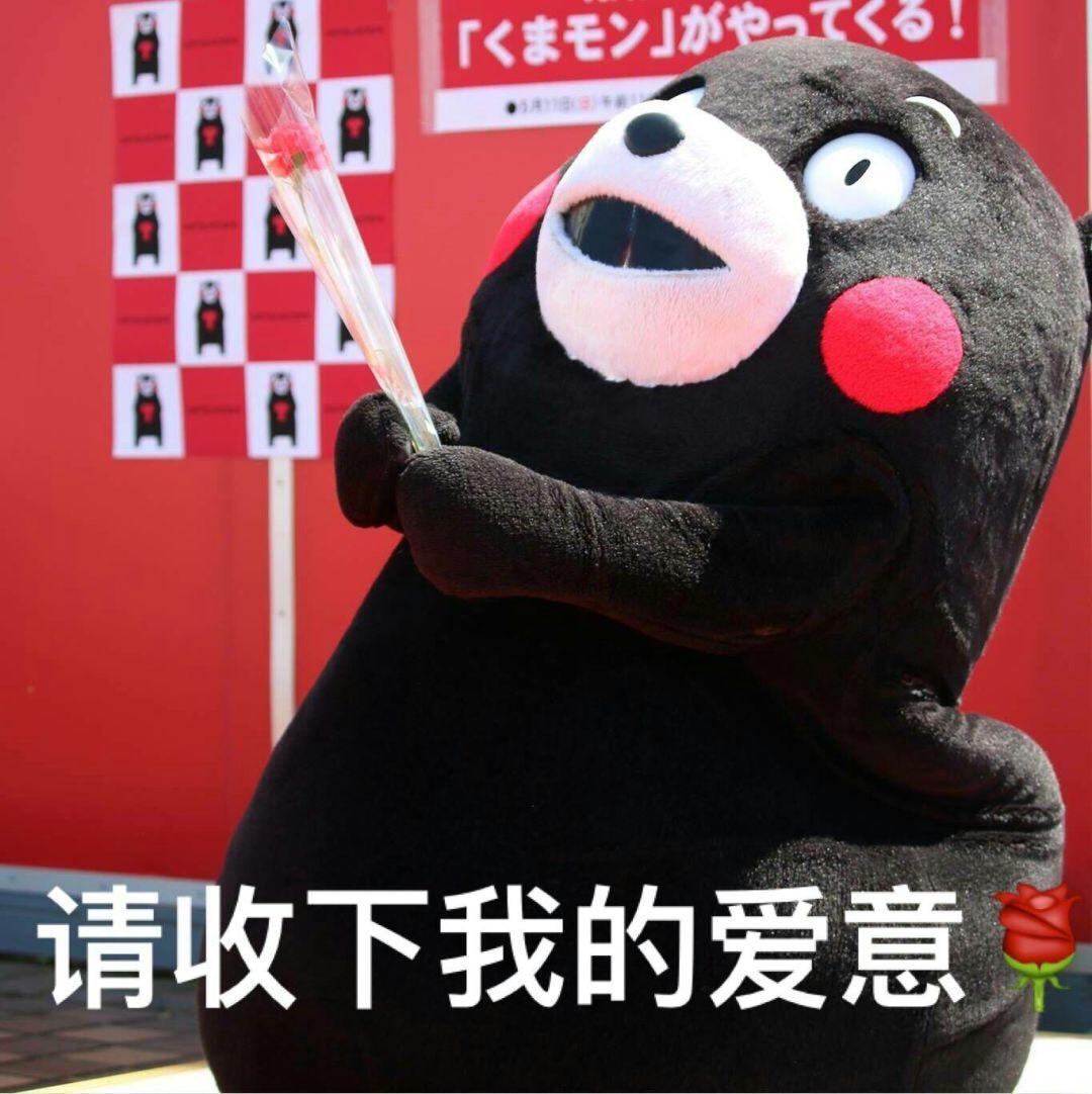 【斗图行走】必备童儿图片情表的表情熊本熊图片