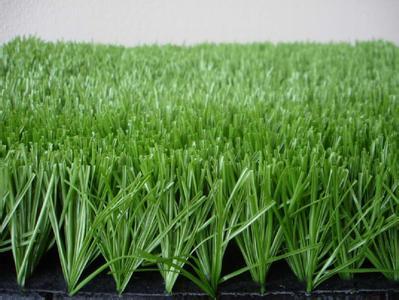 尼龙(nylon):是最早的人造草纤维原材料,实物图属于第一代人造草纤维